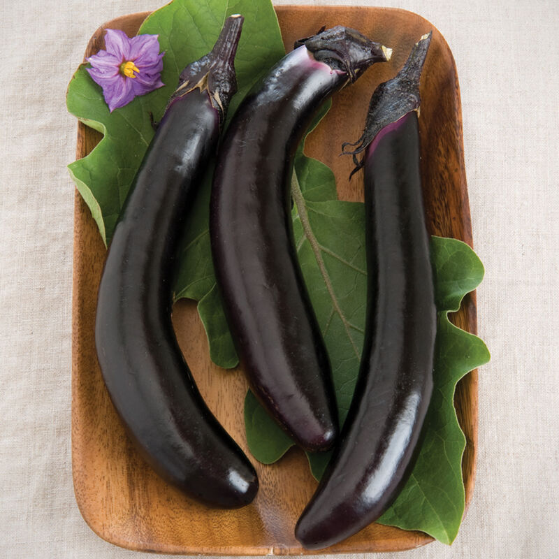 Asian Eggplant