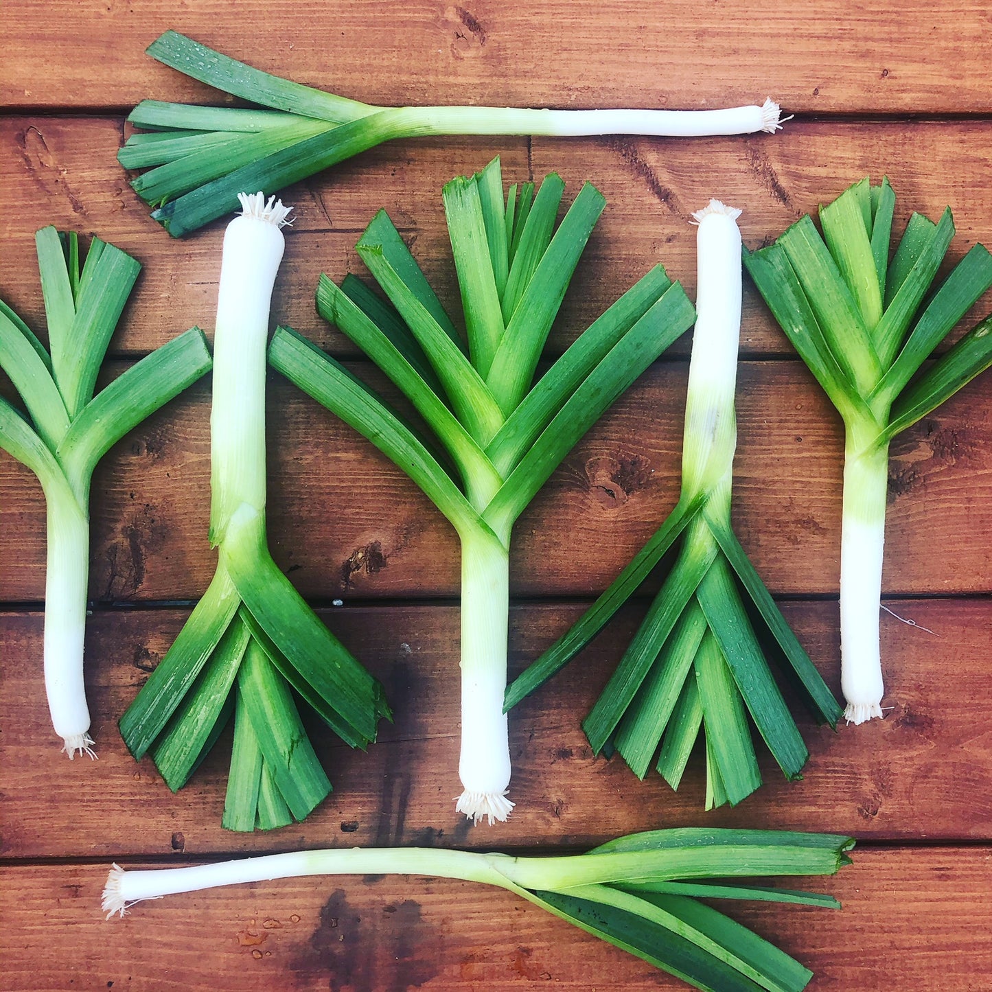 Leeks