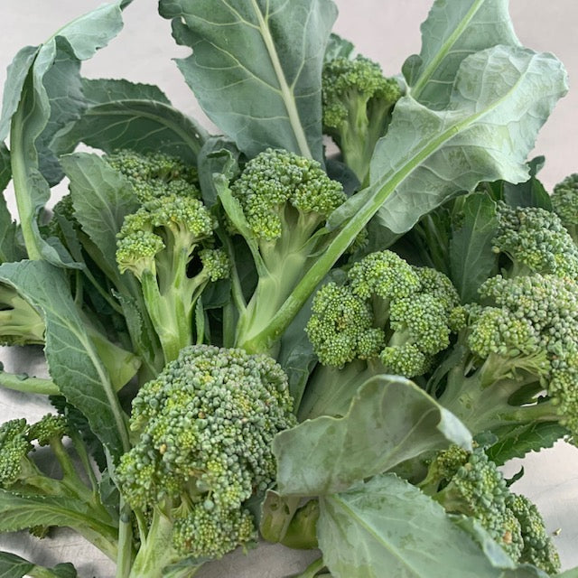 Broccoli Shoots