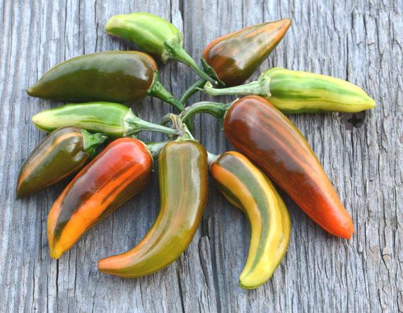 Fish Peppers **Spicy**