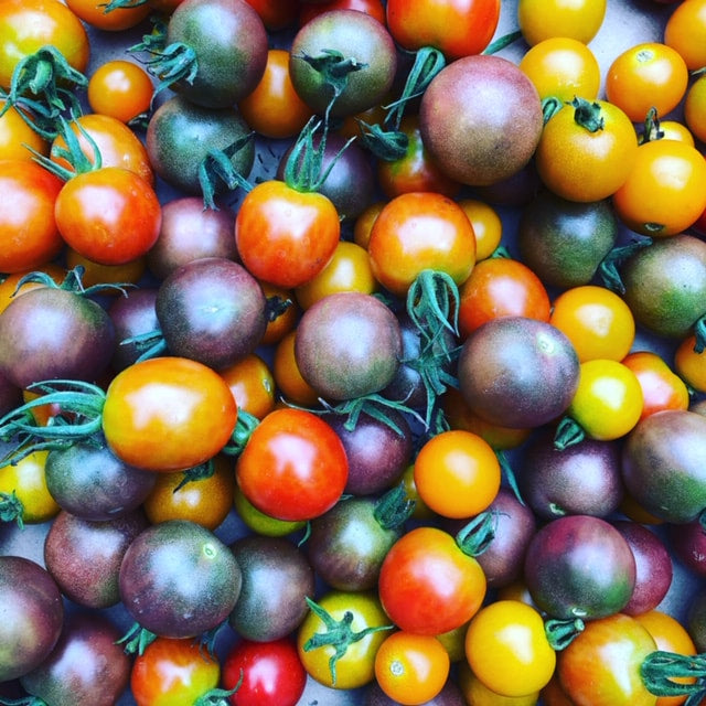 Cherry Tomatoes