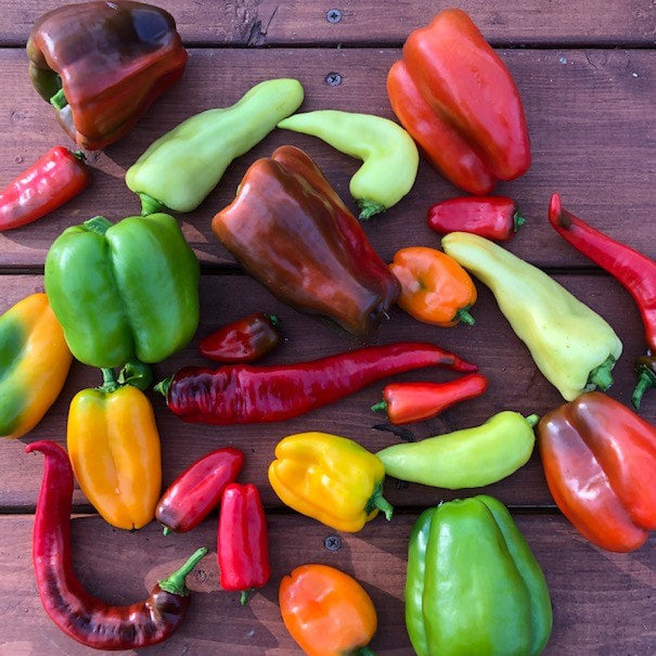 Bell Peppers