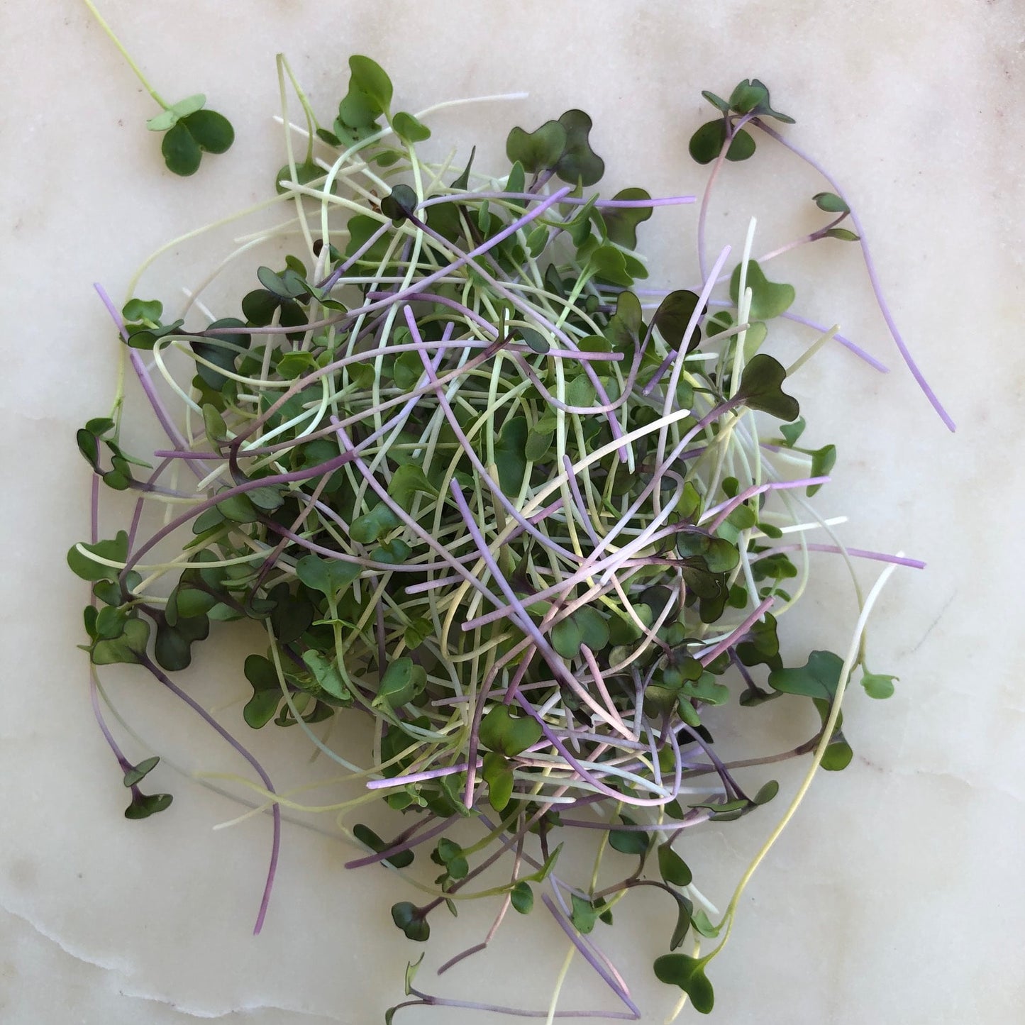 "Grow Your Own Microgreens" Workshop | July 25