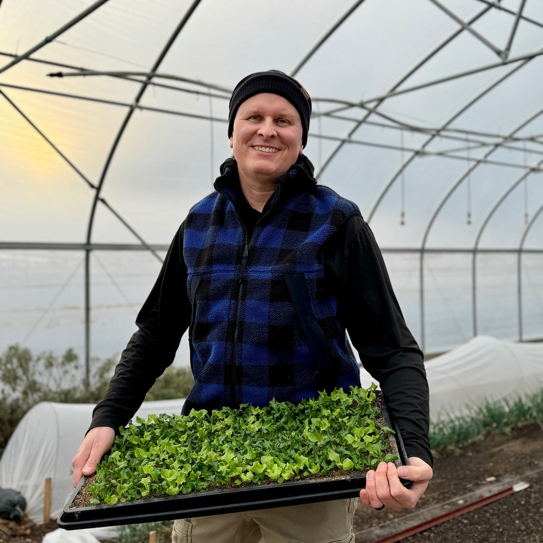 My Journey Through Aortic Aneurysm