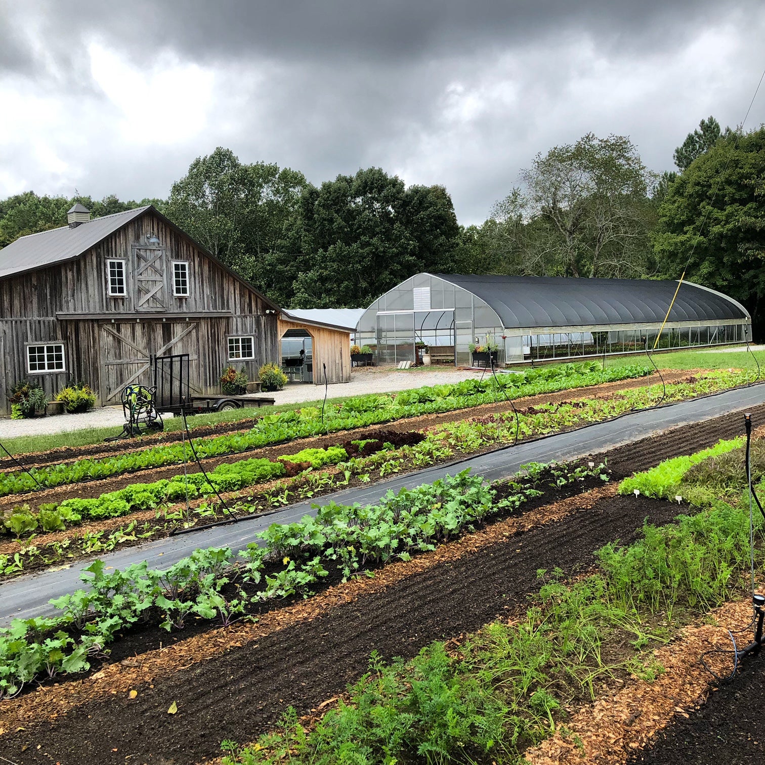 Red Thread Farm barn and gardens