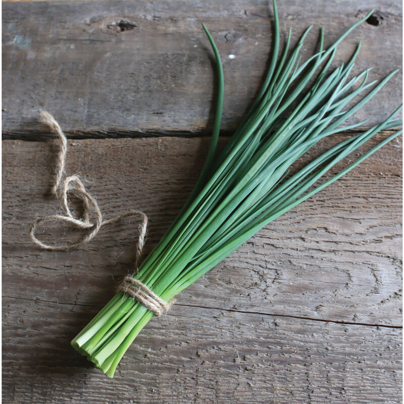 Fresh Chives