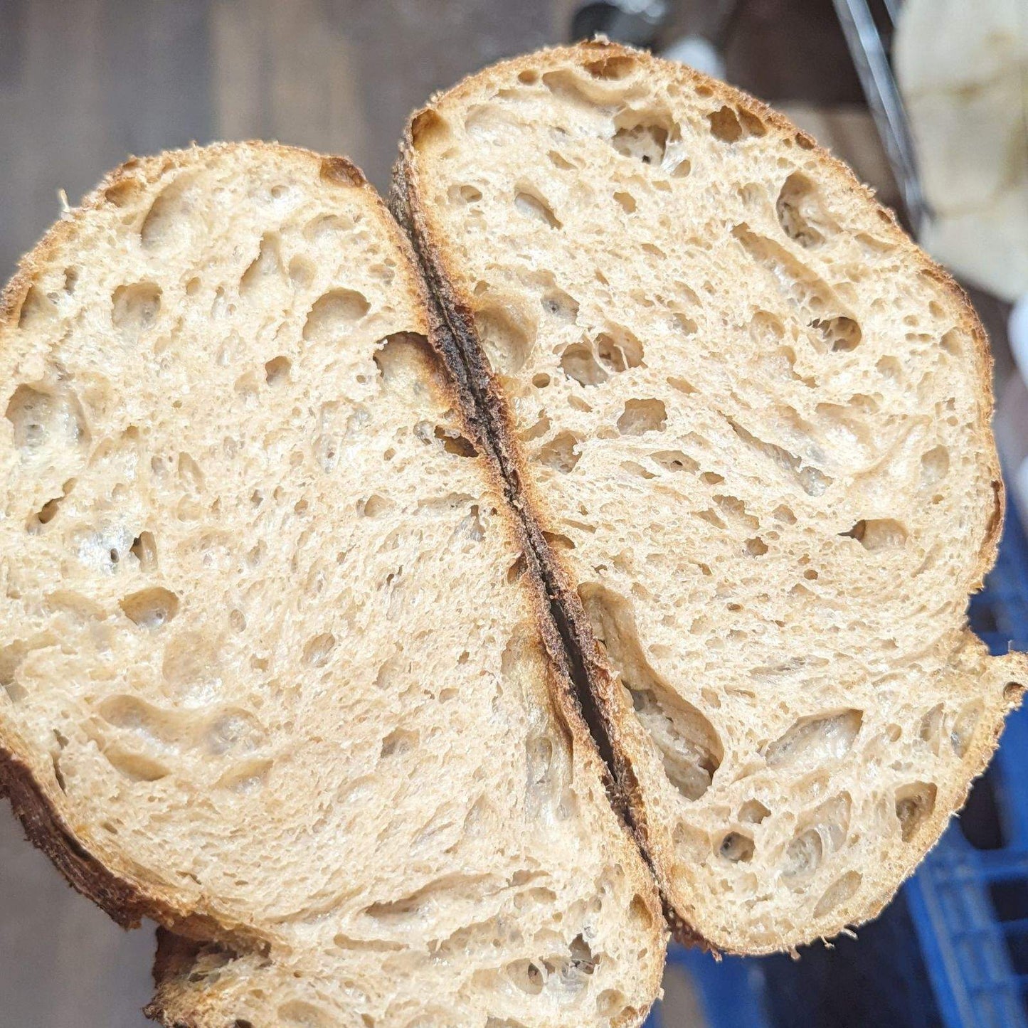 "The City" Sourdough