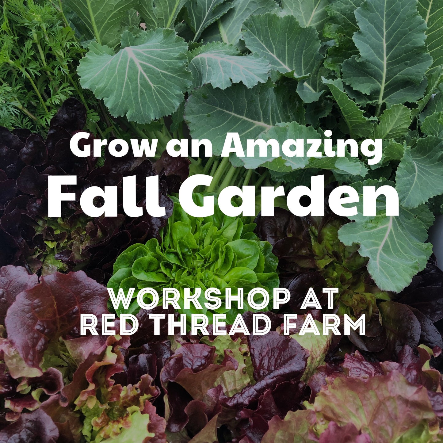 "Grow an Amazing Fall Garden" Workshop | August 15