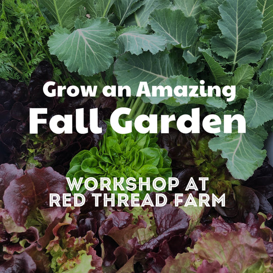 "Grow an Amazing Fall Garden" Workshop | August 15