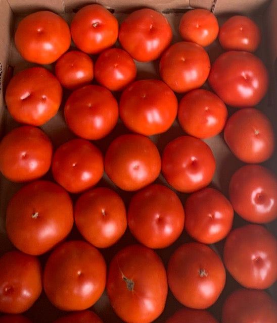 Flat of Tomatoes (10 lb)