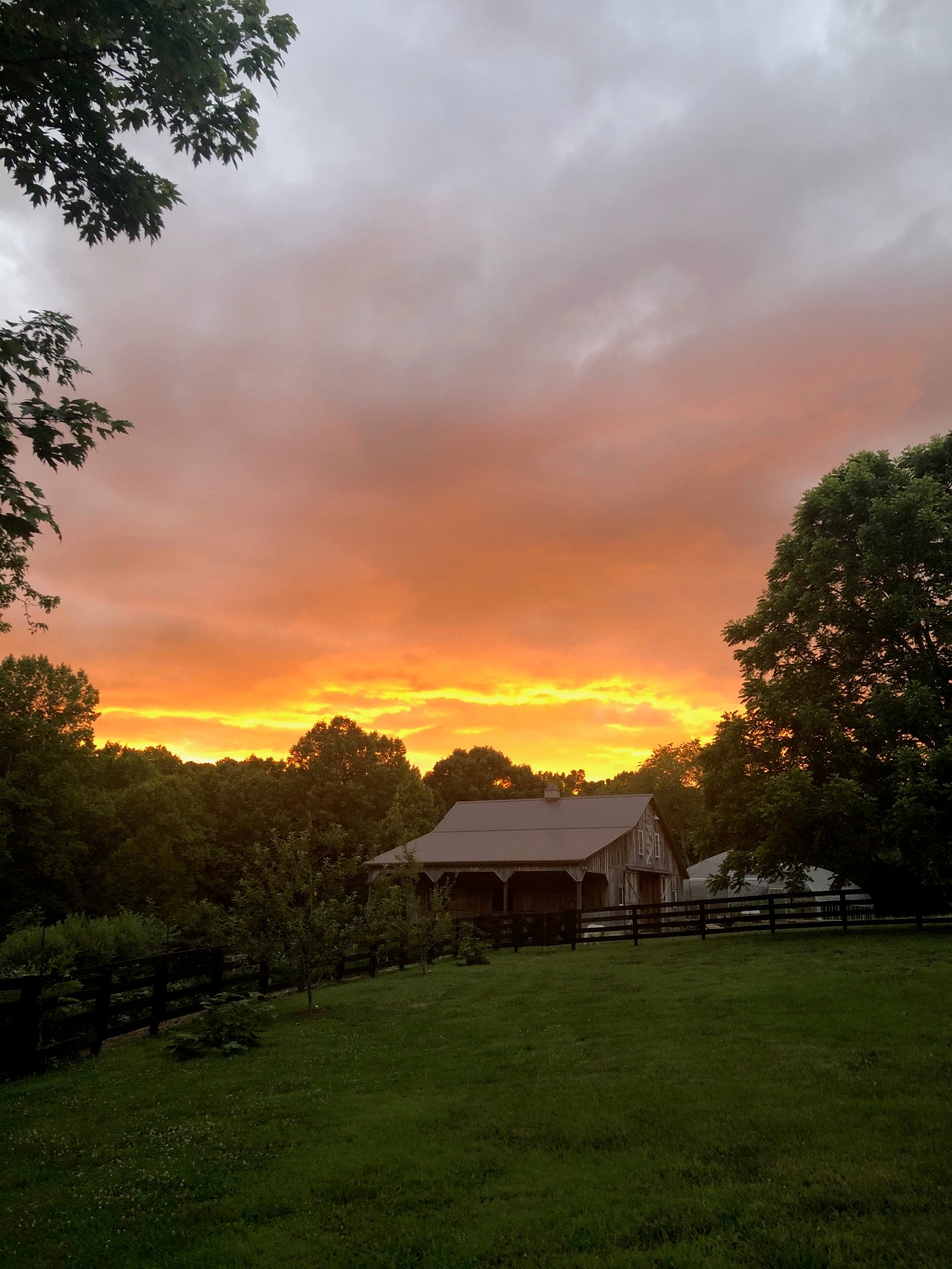 Golden sunset over Red Thread Farm's barn