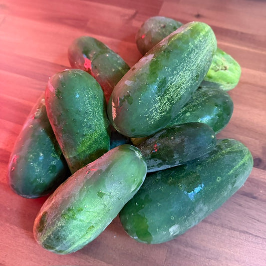 Cucumbers (Imperfect)
