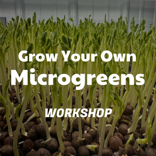 "Grow Your Own Microgreens" Workshop | July 25