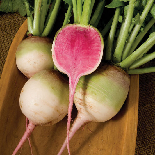 Watermelon Radishes