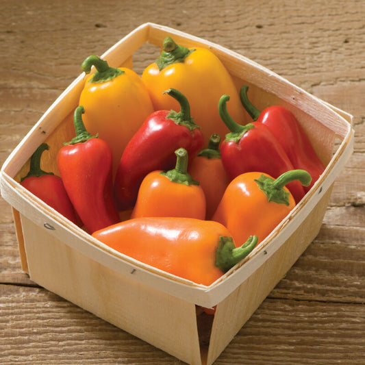 "Lunchbox" Bell Peppers