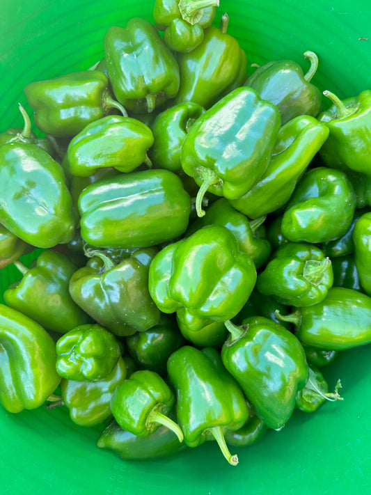Green Bell Peppers