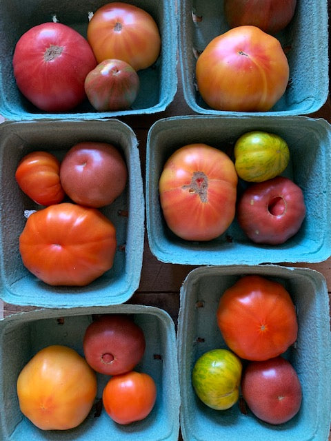 Heirloom Tomatoes