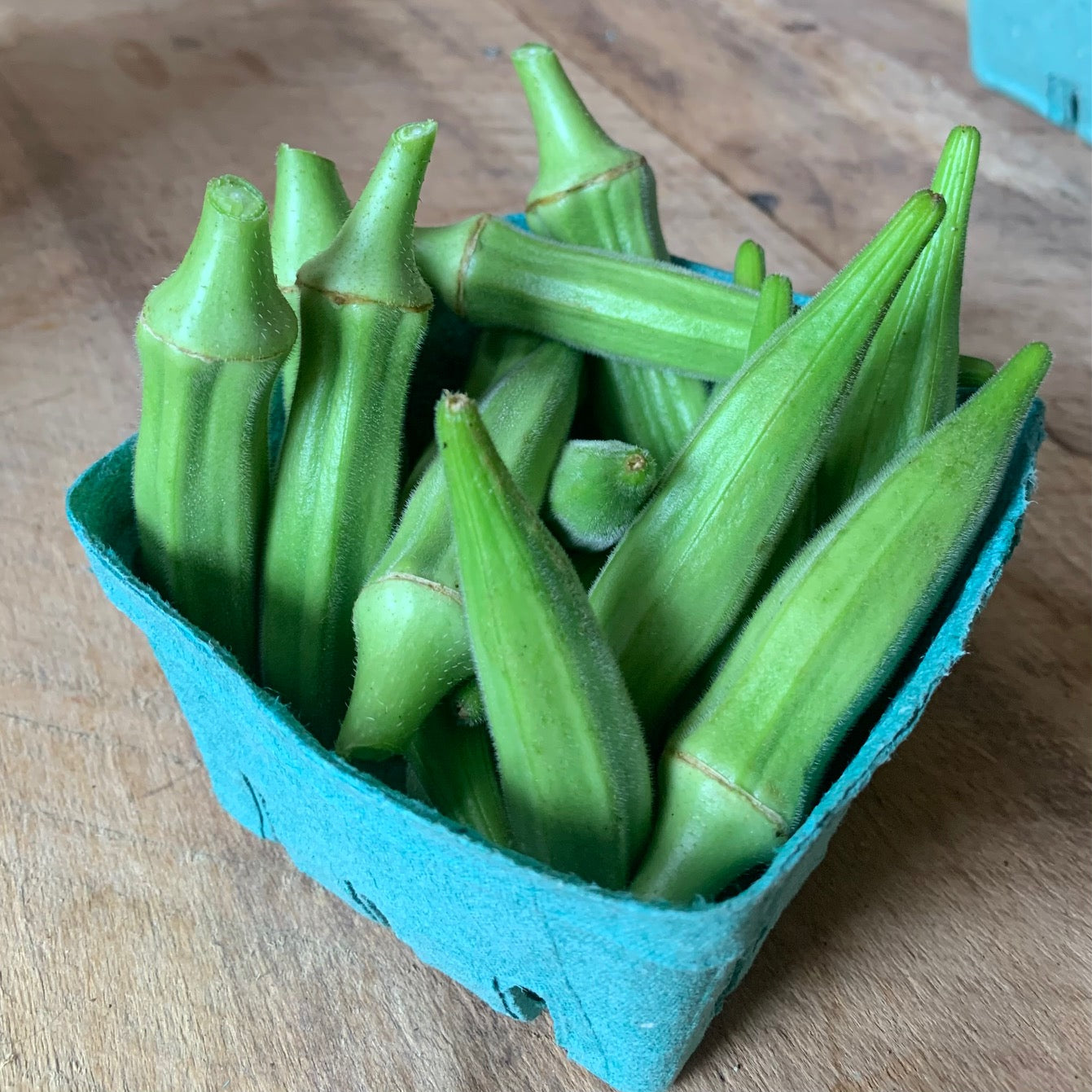 Okra