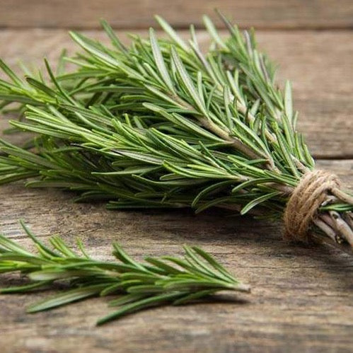 Fresh Rosemary