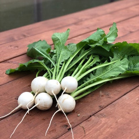 Hakurei Turnips