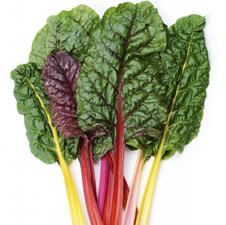 Swiss Chard